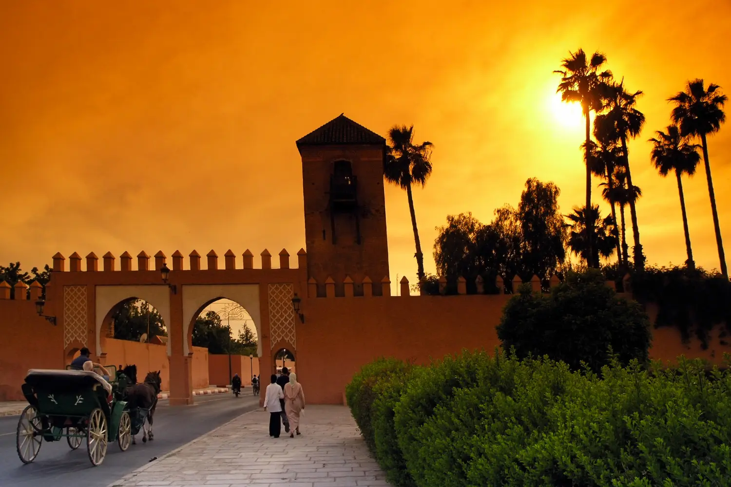 Excursion d'une journée à Marrakech