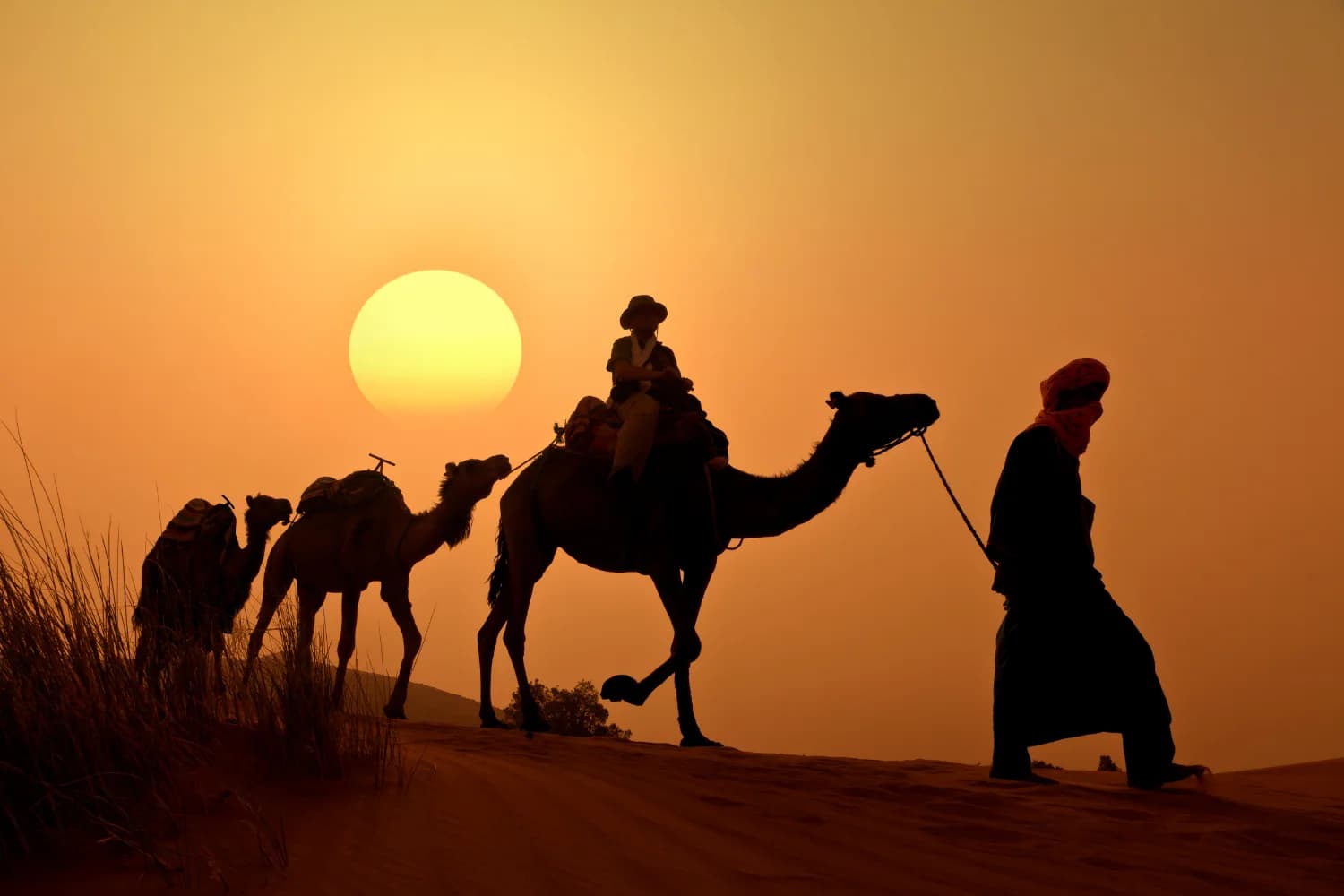 Luxury private Morocco tour through the Sahara desert